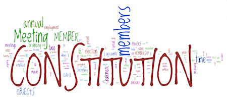 constitution_wordle.png
