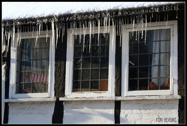 winter-windows